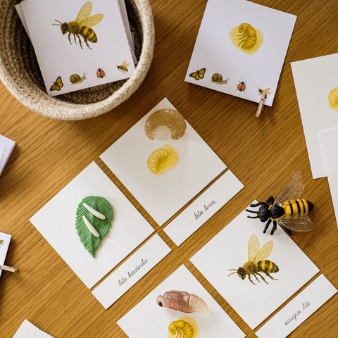 Set of tasks - NATURE RESEARCHER'S NOTES