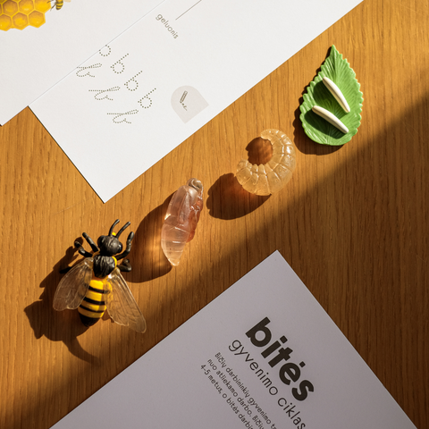 Set of tasks - NATURE RESEARCHER'S NOTES