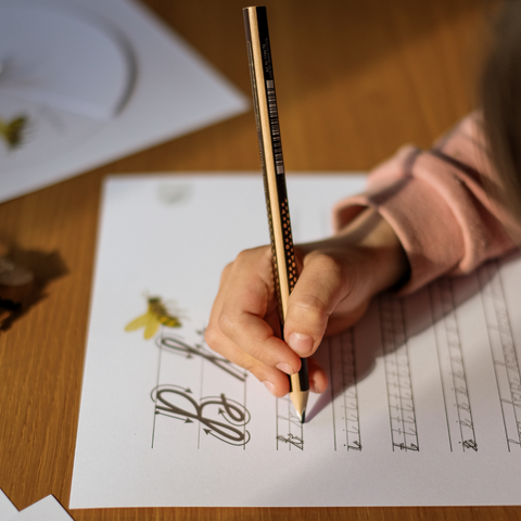 Set of tasks - NATURE RESEARCHER'S NOTES