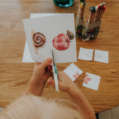 Set of tasks - AUTUMN
