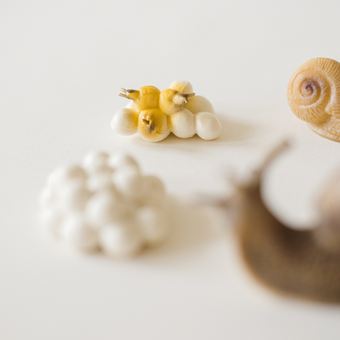 Sraigės gyvenimo ciklas + užduotėlių rinkinys spausdinimui