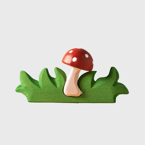 Grass with mushroom