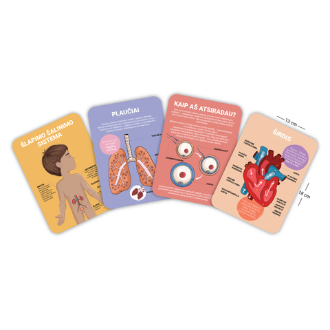 Mokomosios kortelės - Žmogaus kūnas