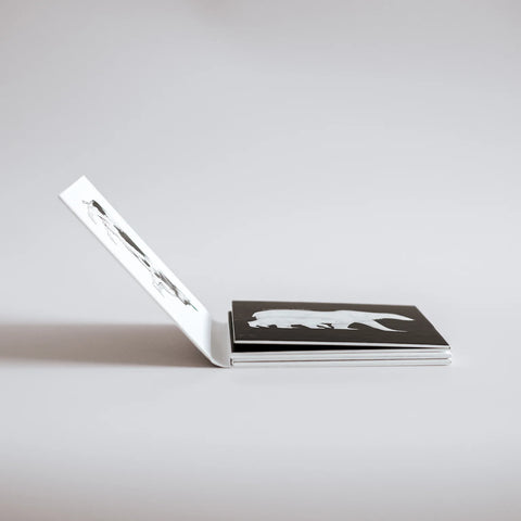 Rinkinys laukiantiems šeimos pagausėjimo