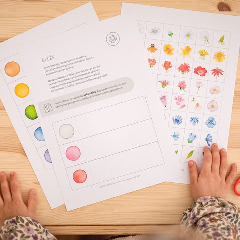 Task set - FLOWERS AND COLORS