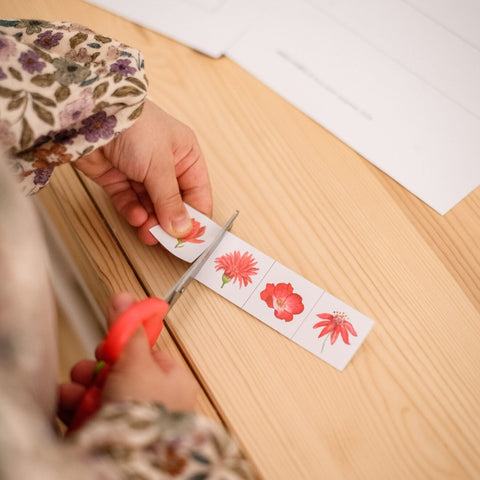 Task set - FLOWERS AND COLORS