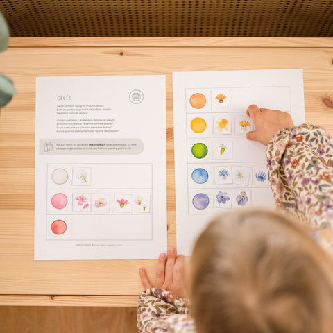 Task set - FLOWERS AND COLORS