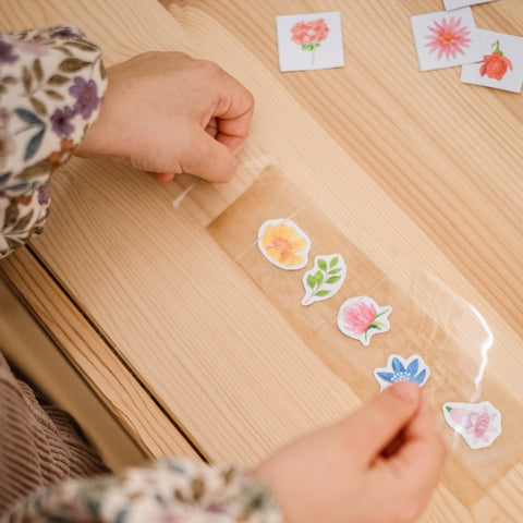 Task set - FLOWERS AND COLORS