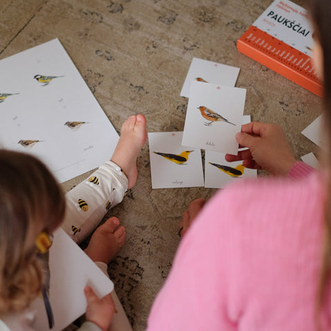 3 dalių Montessori kortelės - PAUKŠČIAI