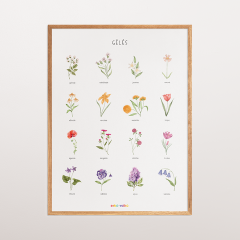 Flowers - poster on canvas