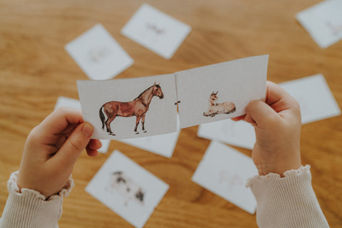 Activity set - MOMS AND BABIES