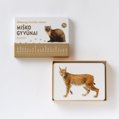 Mokomosios kortelės - Miško gyvūnai