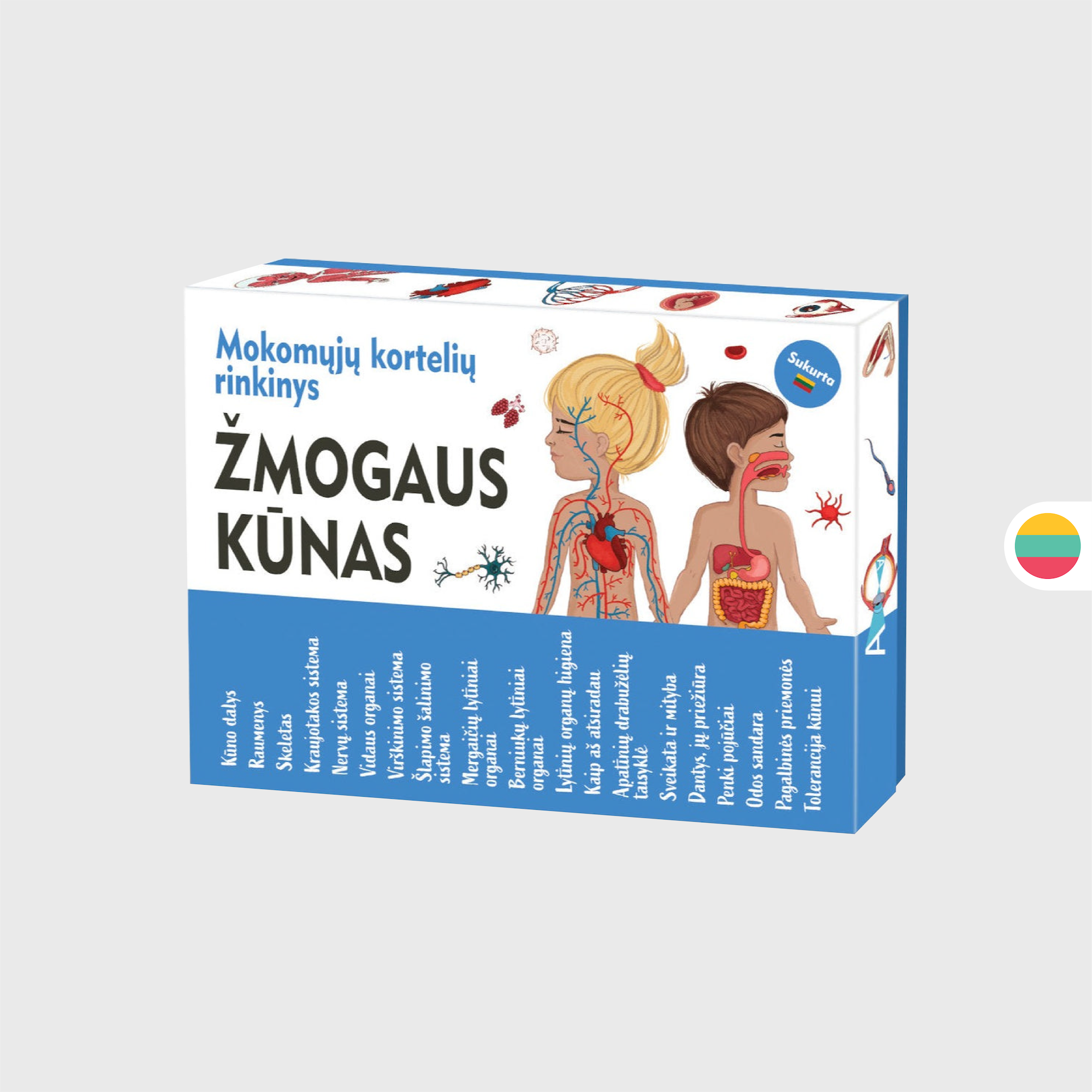 Mokomosios kortelės - Žmogaus kūnas dovanos nuotrauka