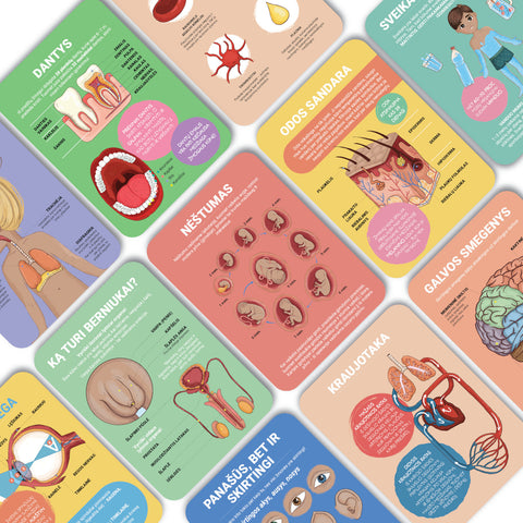 Mokomosios kortelės - Žmogaus kūnas