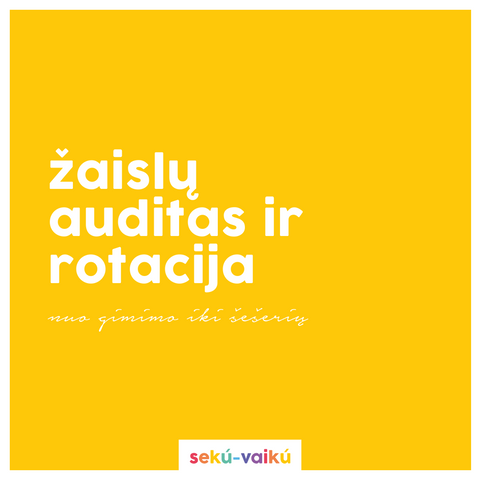 Žaislų auditas ir rotacija - informacinė atmintinė