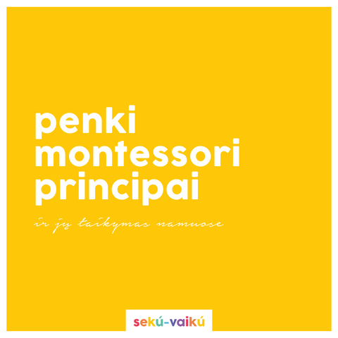 5 Montessori principai namuose - informacinė atmintinė