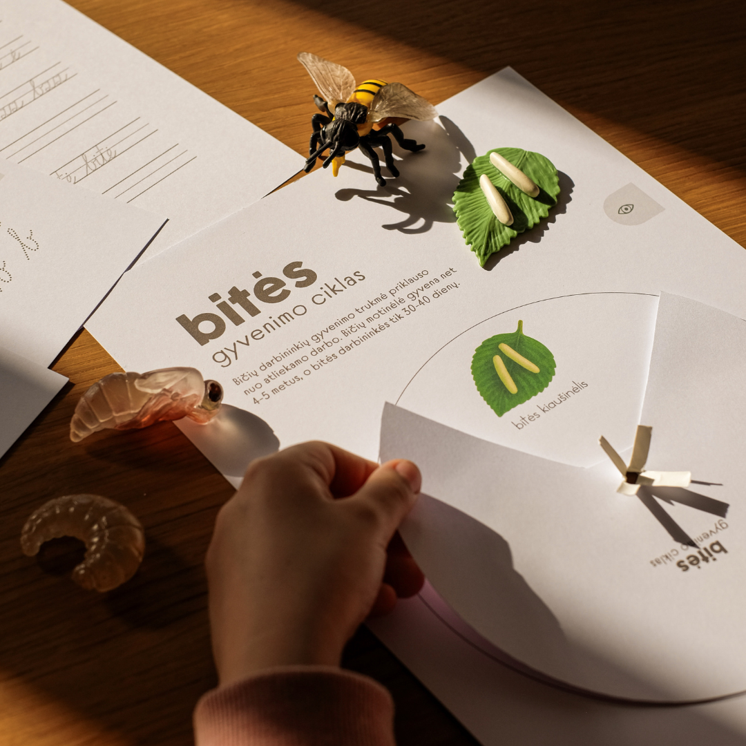 Užduotėlių rinkinys - GAMTOS TYRINĖTOJO UŽRAŠAI