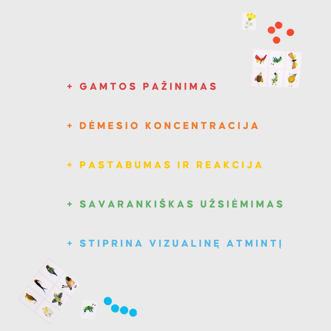 Stalo žaidimas pastabumui | Sodo paslaptys