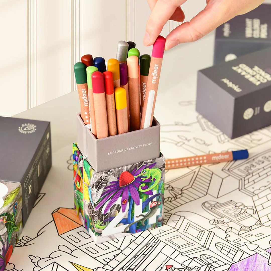 Spalvoti pieštukai - 24 spalvos