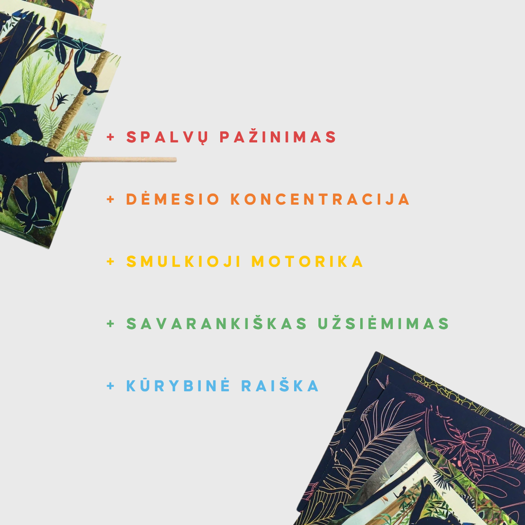 Nutrinami paveikslėliai | Safari