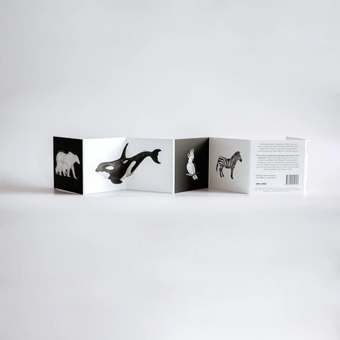 Rinkinys laukiantiems šeimos pagausėjimo