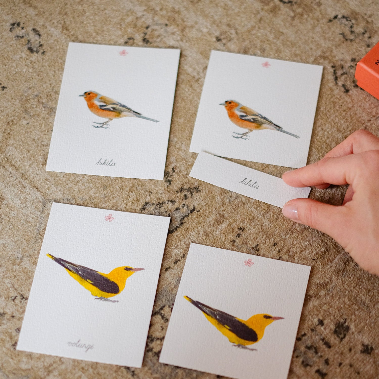 3 dalių Montessori kortelės - PAUKŠČIAI