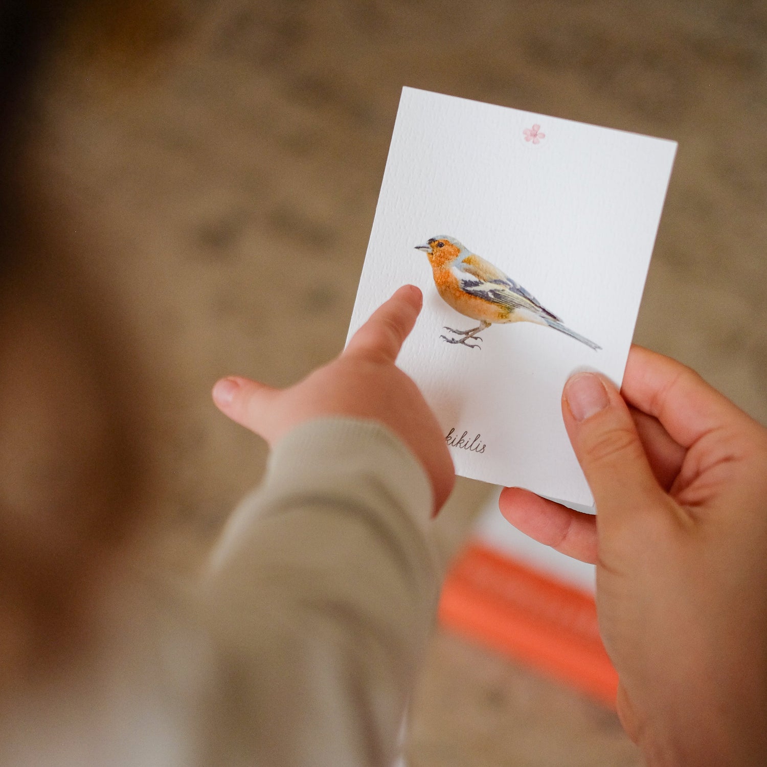 3 dalių Montessori kortelės - PAUKŠČIAI