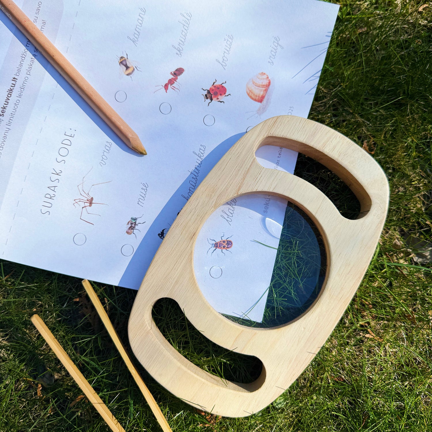 Užduotėlių rinkinys - SODE