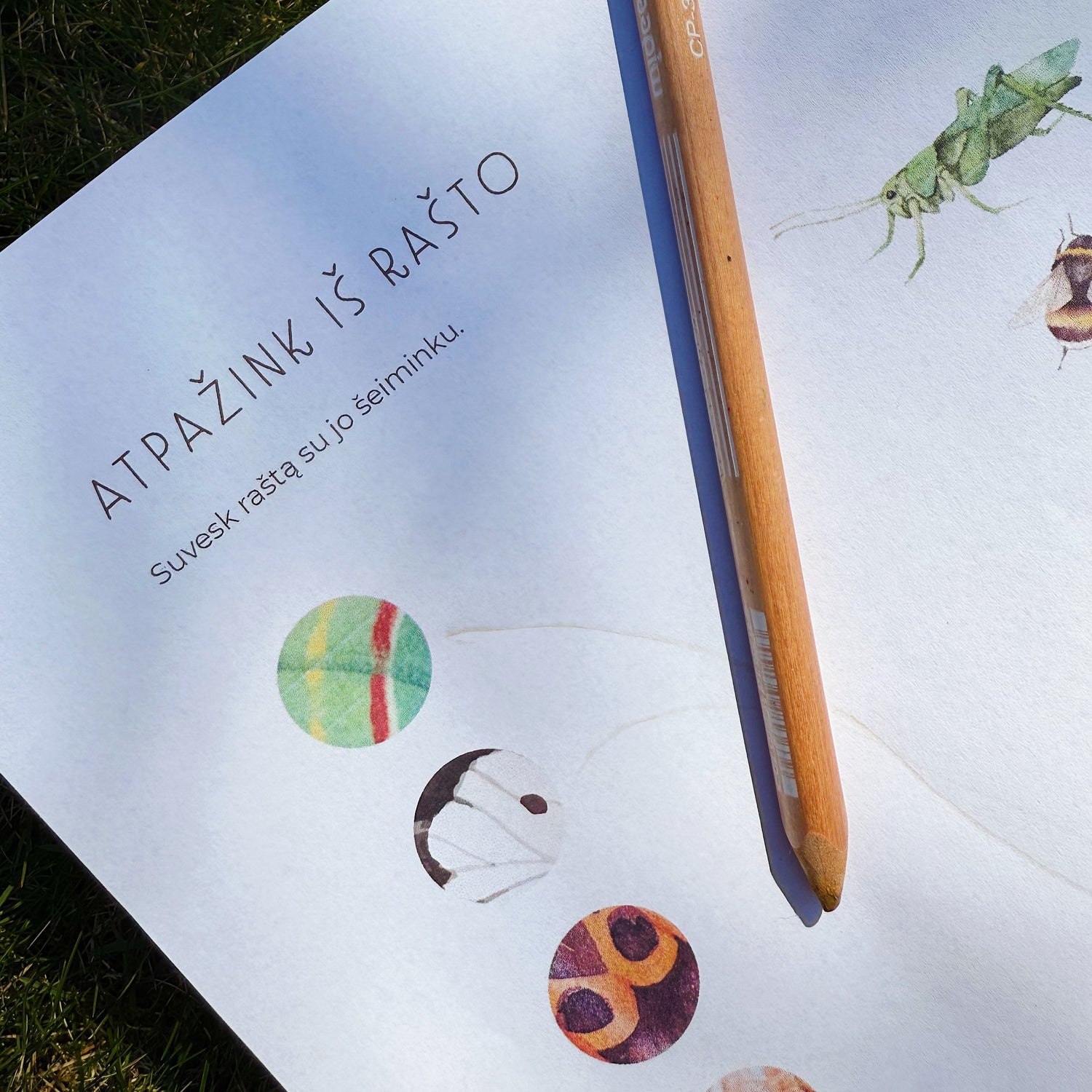 Užduotėlių rinkinys - SODE