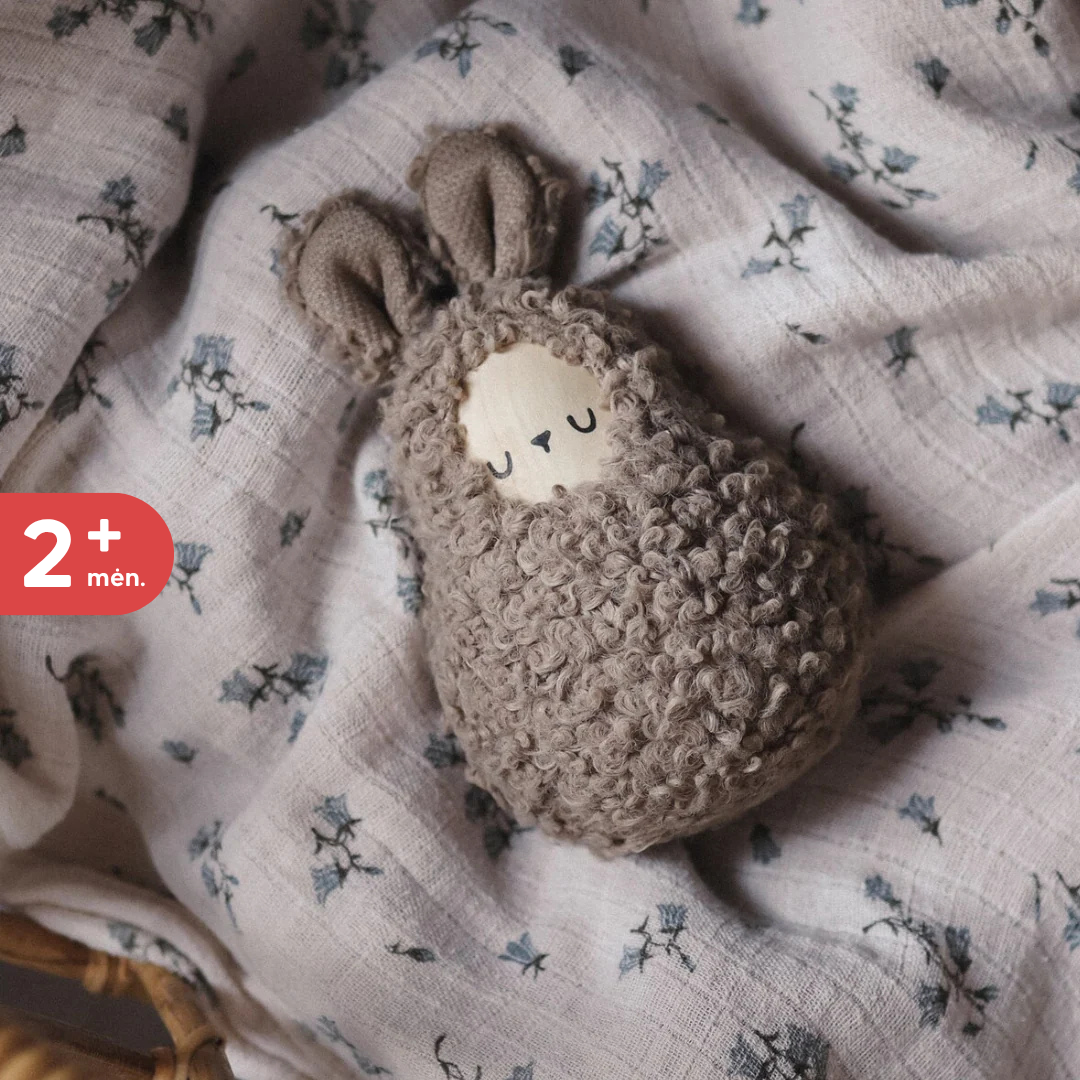 Linguojantis žaisliukas-barškutis | 7 variantai