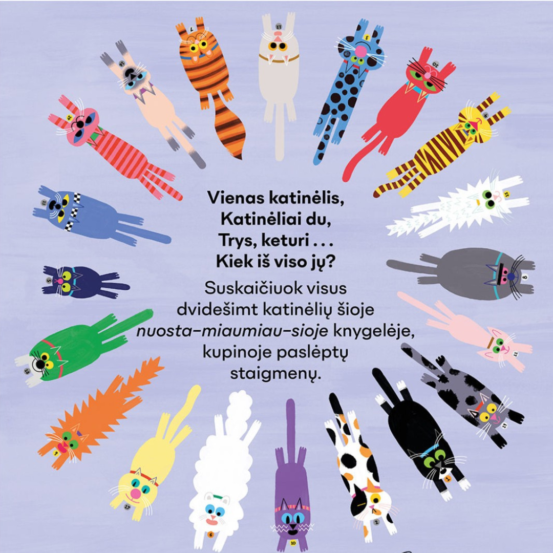 Knyga "Miau miau VIENAS DU"